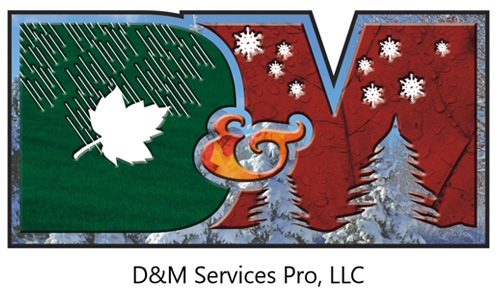 D&M Services Pro